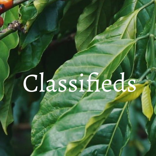 Classified Ad Listing