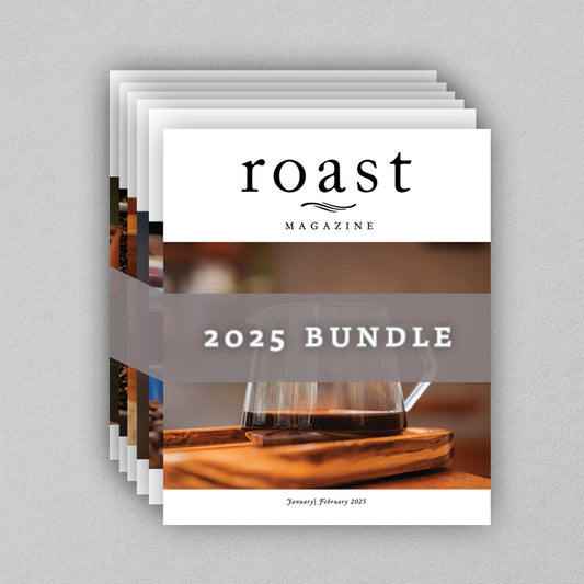 2025 Bundle (All 6 issues)