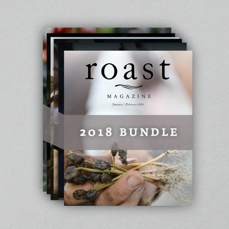 2018 Bundle (All 6 issues)